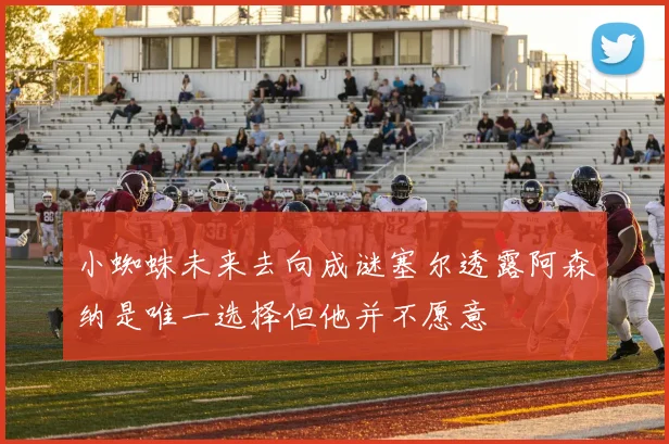 小蜘蛛未来去向成谜塞尔透露阿森纳是唯一选择但他并不愿意